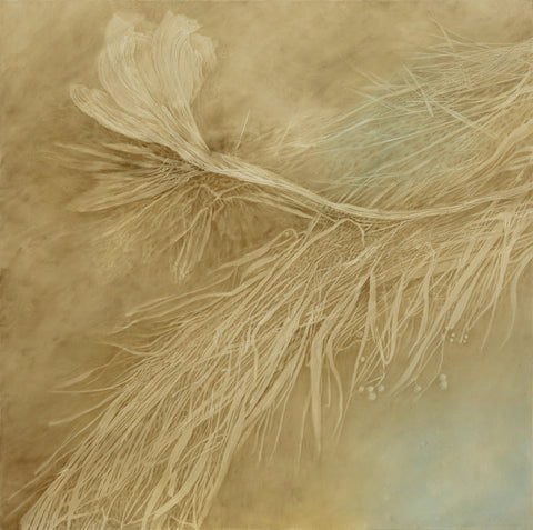 Shirley Ploog - Nature's Tonic