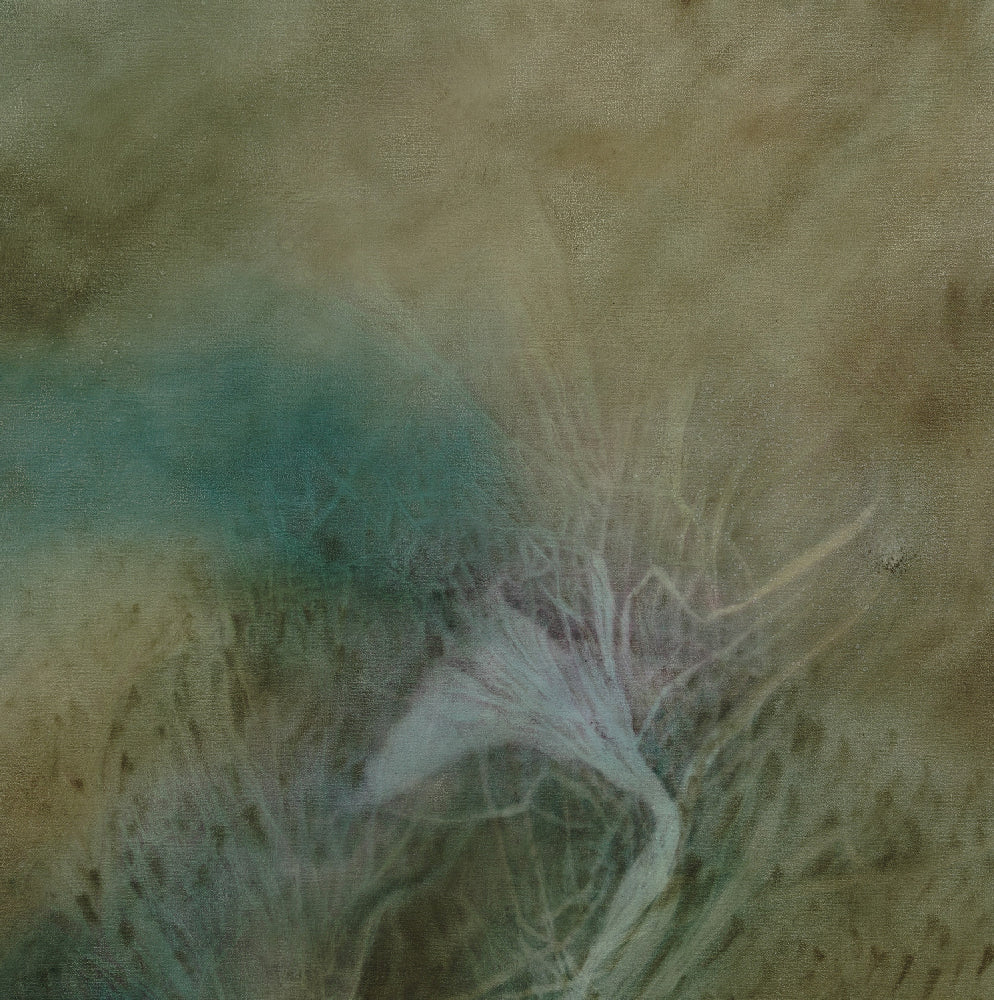 Shirley Ploog - Gentle Perfume