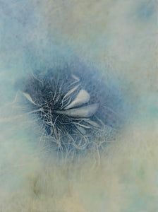 Shirley Ploog - Nature's Solitude