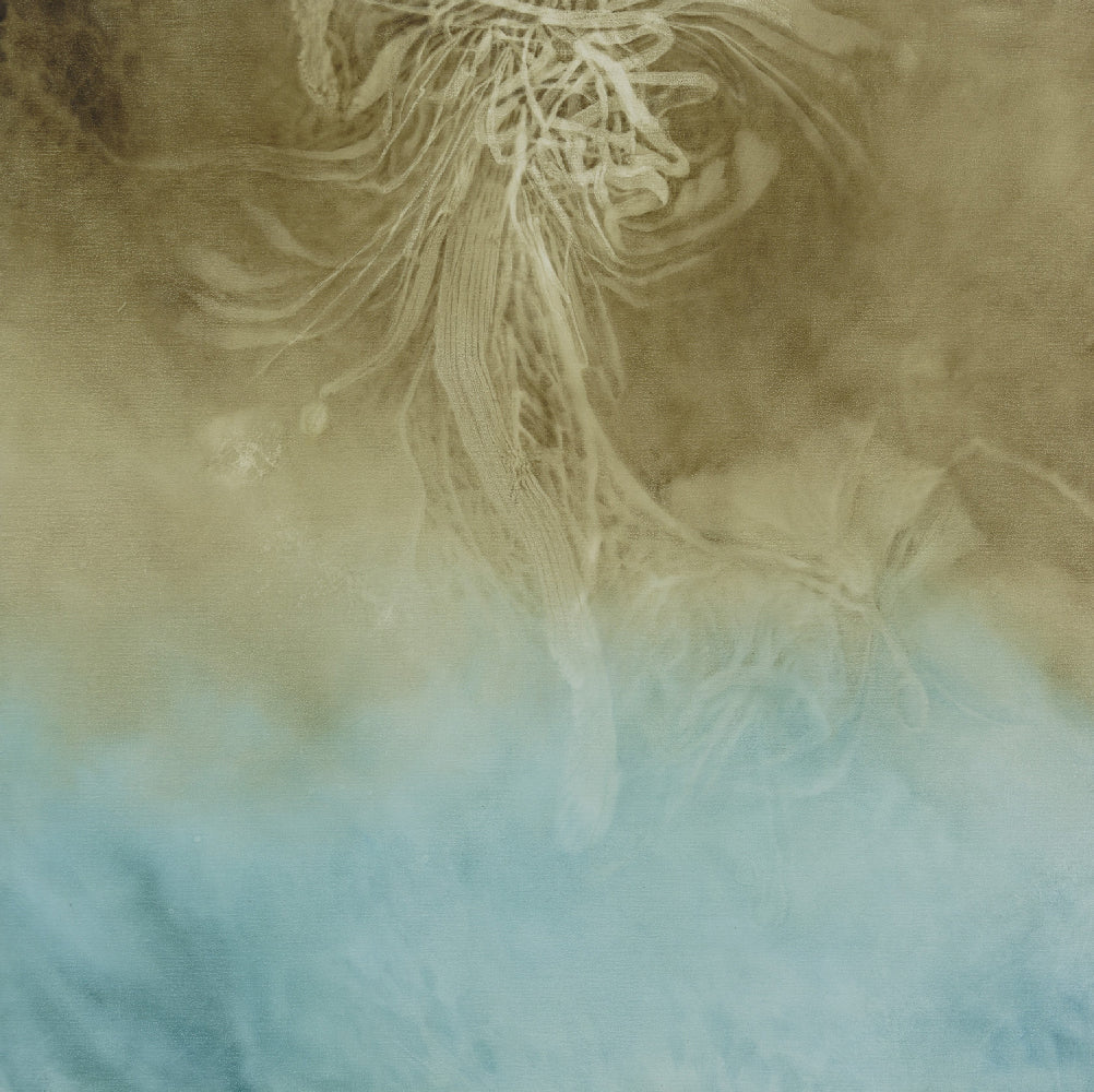 Shirley Ploog - Silent Presence