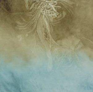 Shirley Ploog - Silent Presence