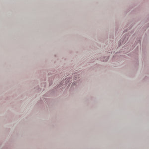 Shirley Ploog - Soft Musings