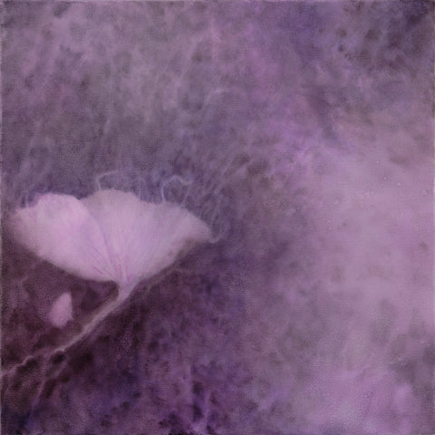 Shirley Ploog - What Lies Beneath