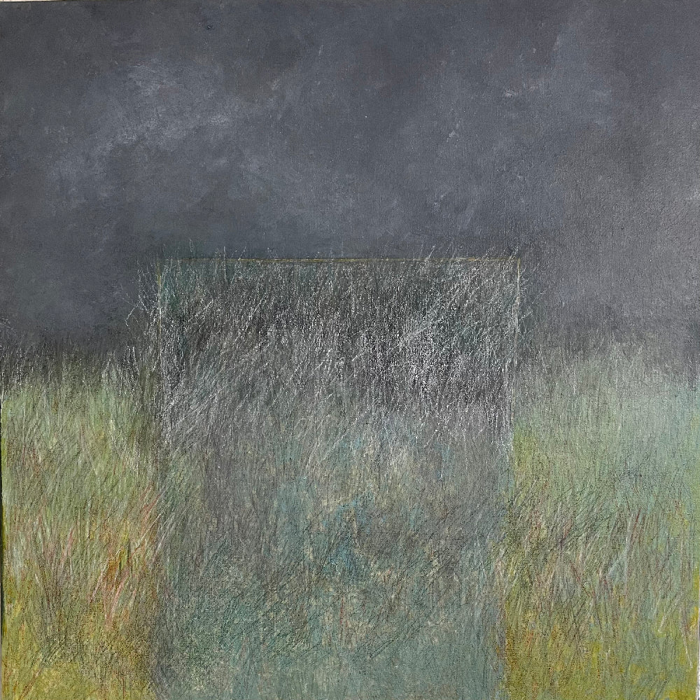 Susan Stevenson - Disappearing