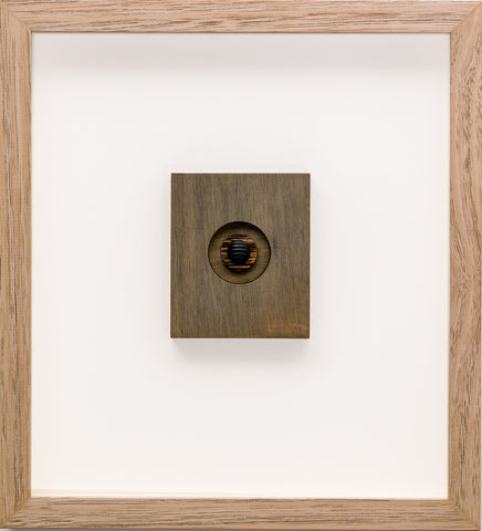 Trevor Tagliabue - Beetle Moon 1