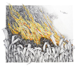 Linda Weil - Cane Burn