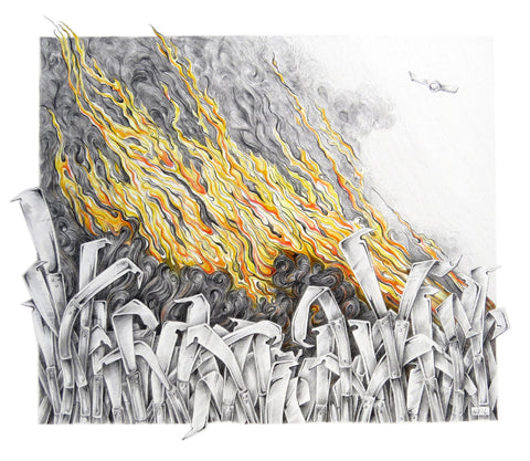 Linda Weil - Cane Burn