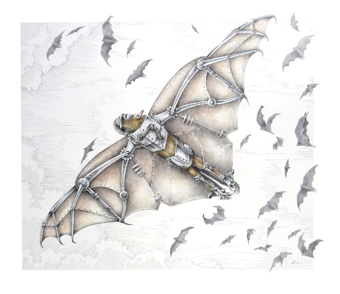 Linda Weil - Flying Foxes