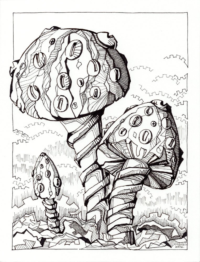 Linda Weil - Fungi