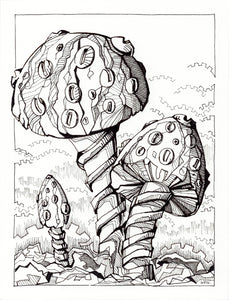 Linda Weil - Fungi