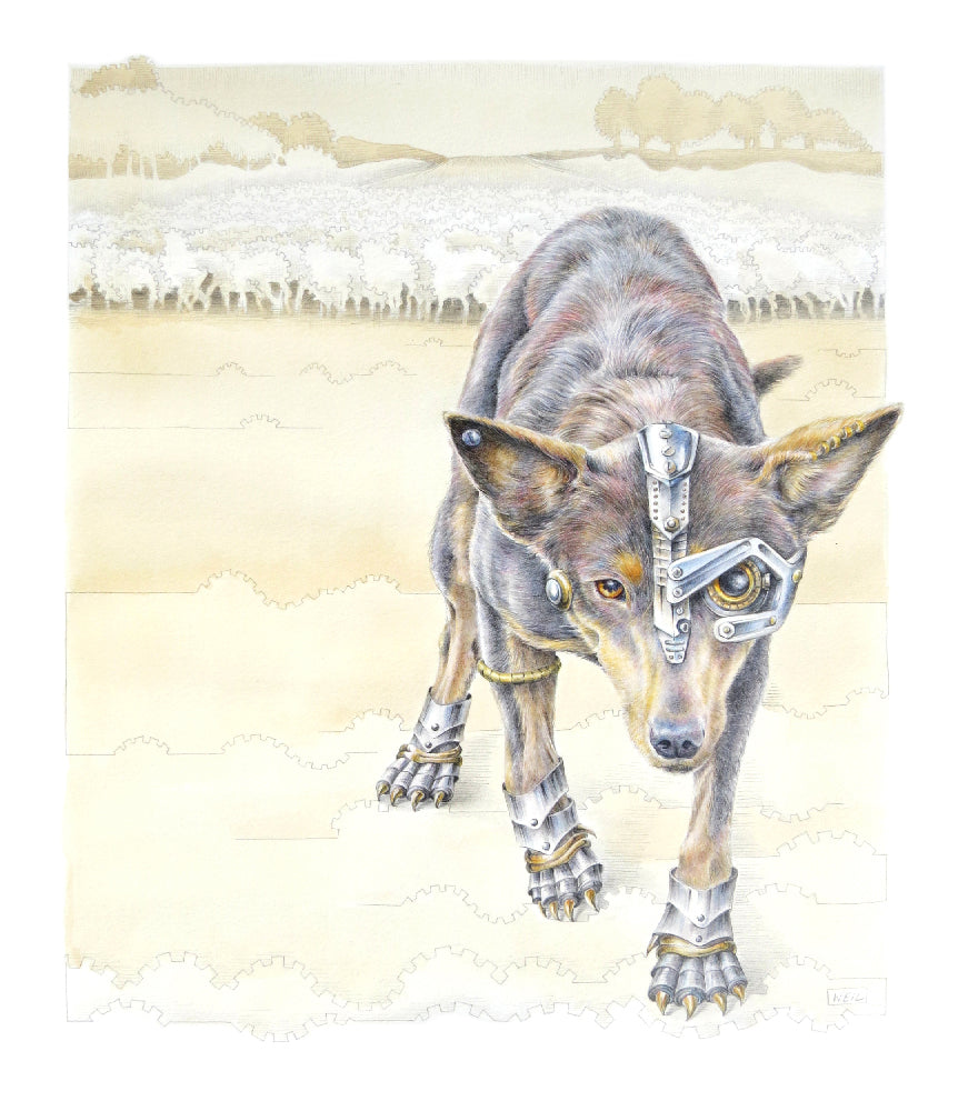 Linda Weil - Muster