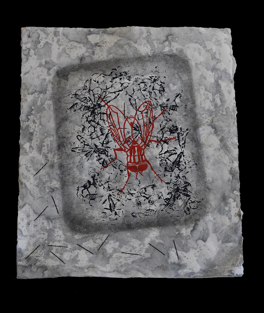 Elizabeth Colbert - Specimen: Musca domestica 2