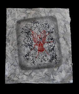 Elizabeth Colbert - Specimen: Musca domestica 2