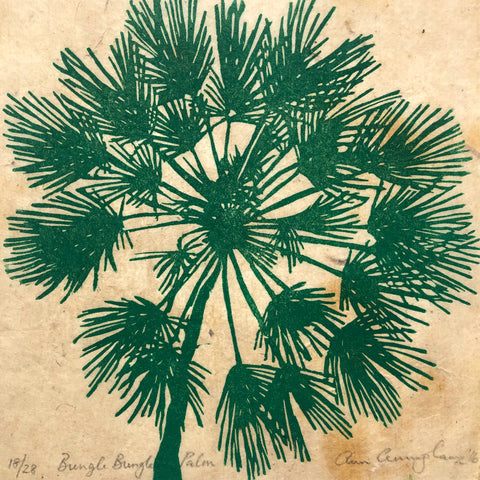 Ann Cunningham - Bungle Bungle Palm