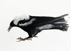 Merrian Dennis - Foraging