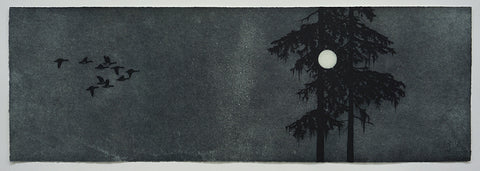 Kasia Fabijanska - Night Flight
