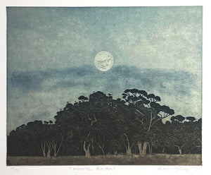 Kevin Foley - Moonrise Mia Mia (unframed)