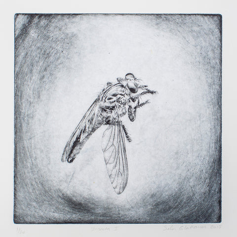 Silvi Glattauer - Insecta 1