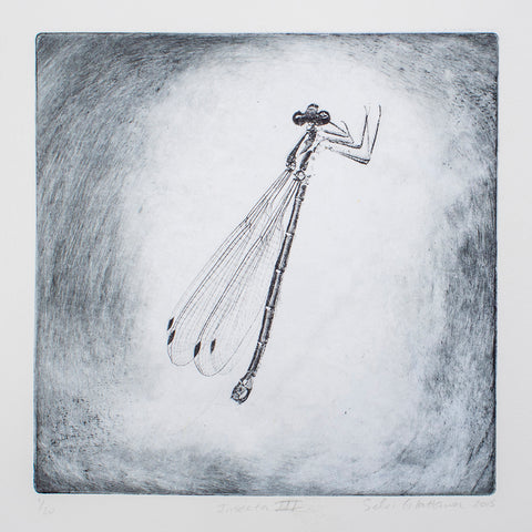 Silvi Glattauer - Insecta 3