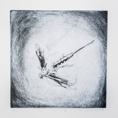 Silvi Glattauer - Insecta 5
