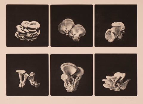 Silvi Glattauer - Funghi Feast