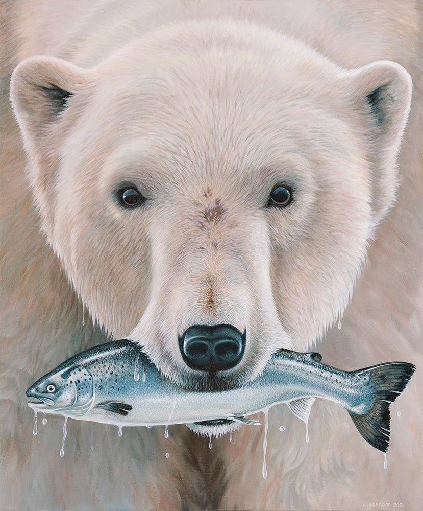 Andrew Hopgood - Polar Bear with Salmon