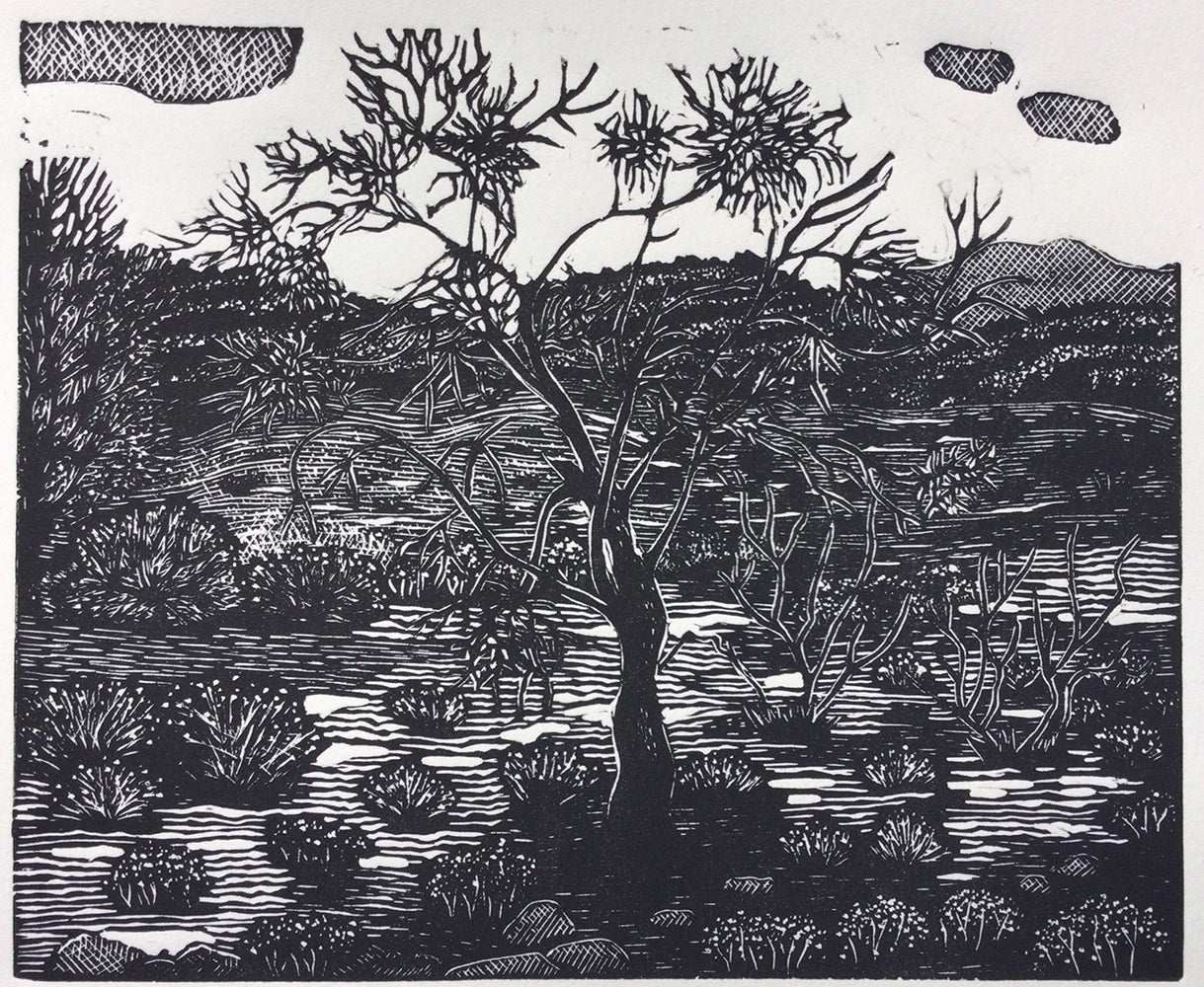 Chris Lawry - The Road to Hermansburg 5