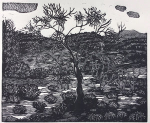 Chris Lawry - The Road to Hermansburg 5