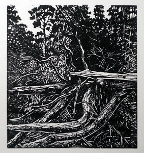 Chris Lawry - After the Storm 2