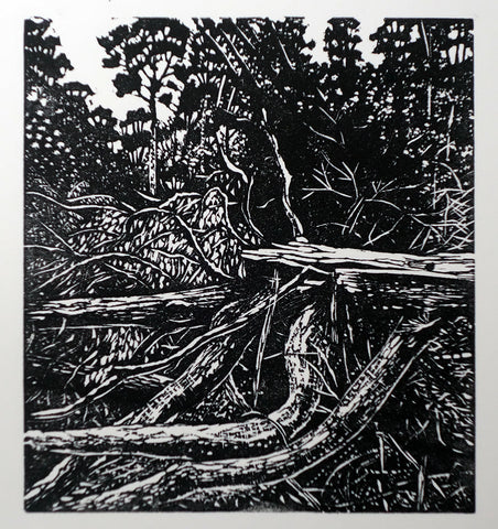 Chris Lawry - After the Storm 2