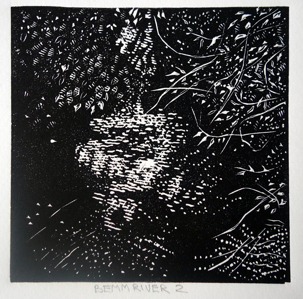 Chris Lawry - Bemm River 2