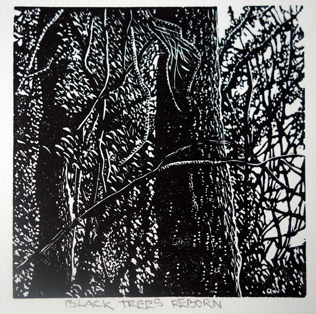 Chris Lawry - Black Trees Reborn
