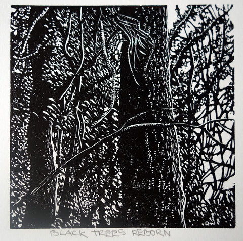 Chris Lawry - Black Trees Reborn