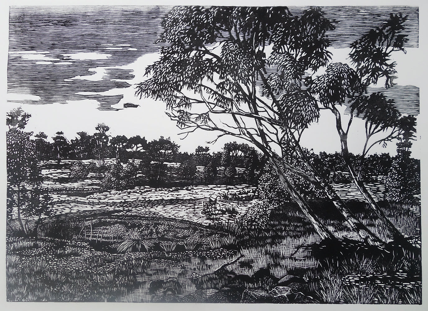 Chris Lawry - Finkel River with Wheelchair