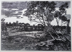 Chris Lawry - Finkel River with Wheelchair