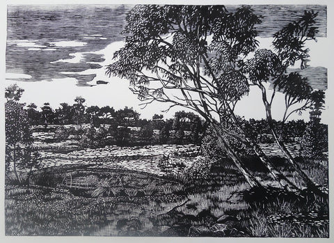Chris Lawry - Finkel River with Wheelchair