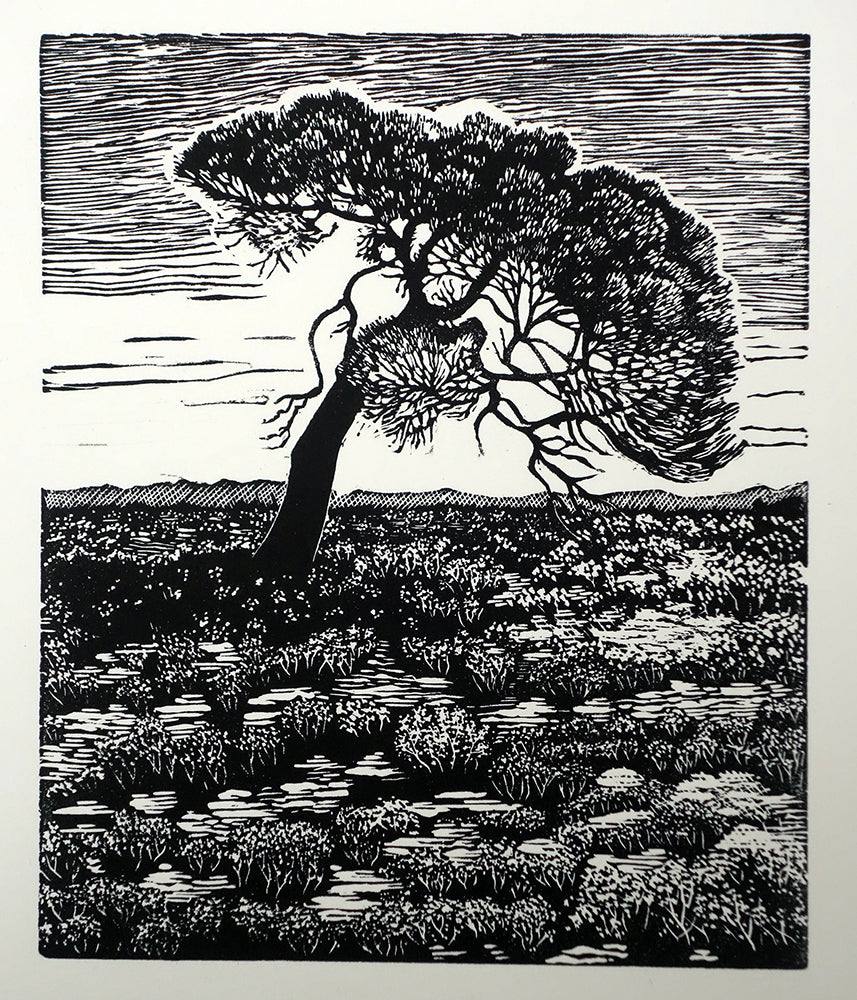 Chris Lawry - Here Starts the Outback