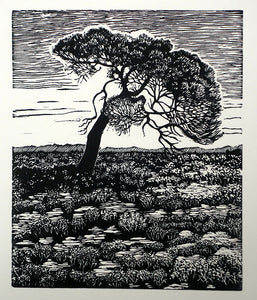 Chris Lawry - Here Starts the Outback