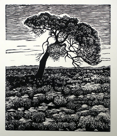 Chris Lawry - Here Starts the Outback