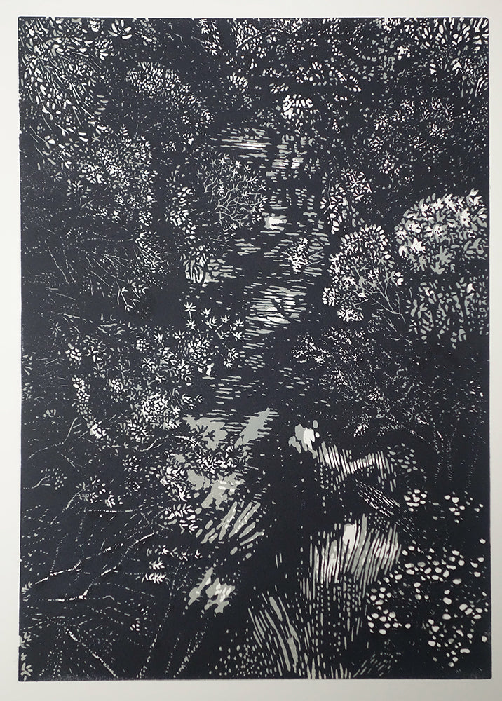 Chris Lawry - Looking Down: the Bemm River