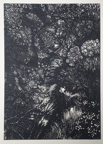 Chris Lawry - Looking Down: the Bemm River