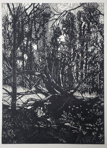 Chris Lawry - Mallacoota Forest Recovering