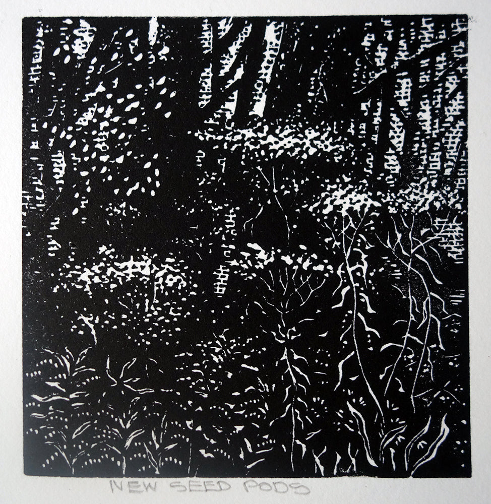 Chris Lawry - New Seed Pods