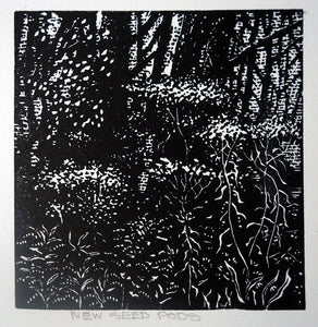 Chris Lawry - New Seed Pods