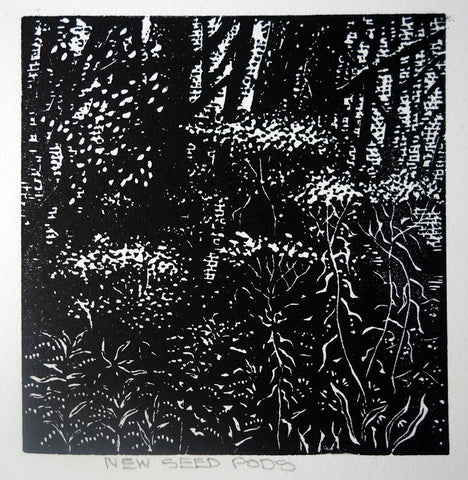 Chris Lawry - New Seed Pods