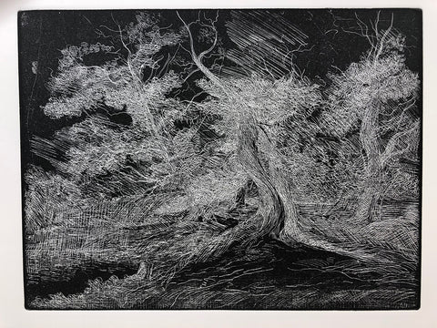 Jennifer Marshall - Forest After Glover - relief