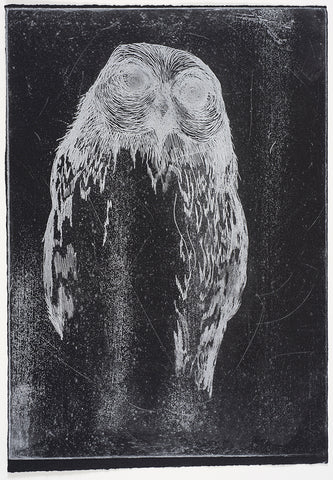 Jan Palethorpe - Barking Owl