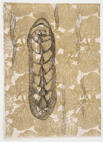 Jan Palethorpe - Chiton