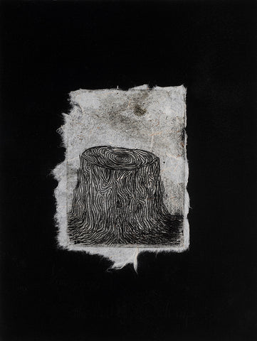 Jan Palethorpe - The Rest of a Stump