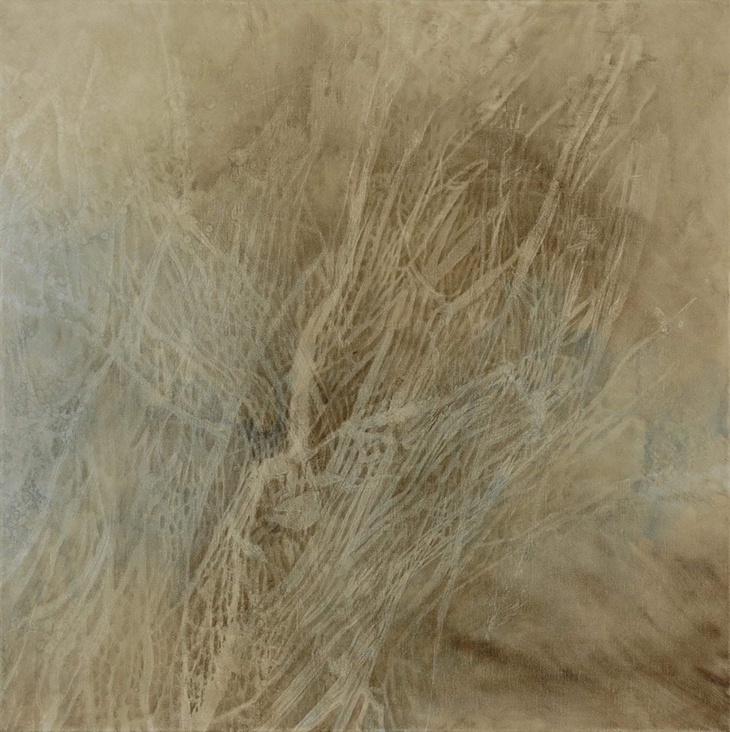 Shirley Ploog - Ephemeral Notes